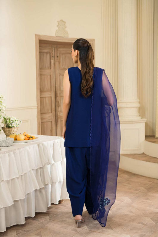3-piece set on premium Korean Raw Silk By Miryaan Store